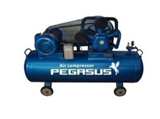 Máy nén khí PEGASUS TM-W-1.0/8-500L