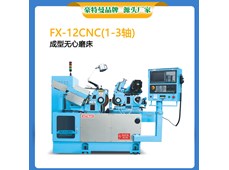 Máy mài không tâm CNC cỡ nhỏ Hautman FX-12CNC