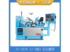 Máy mài không tâm có độ chính xác cao Hautmann FX-12CNC