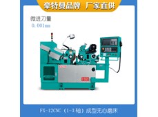 Máy mài không tâm CNC FX-12CNC