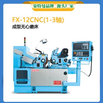 Máy mài không tâm CNC cỡ nhỏ Hautman FX-12CNC